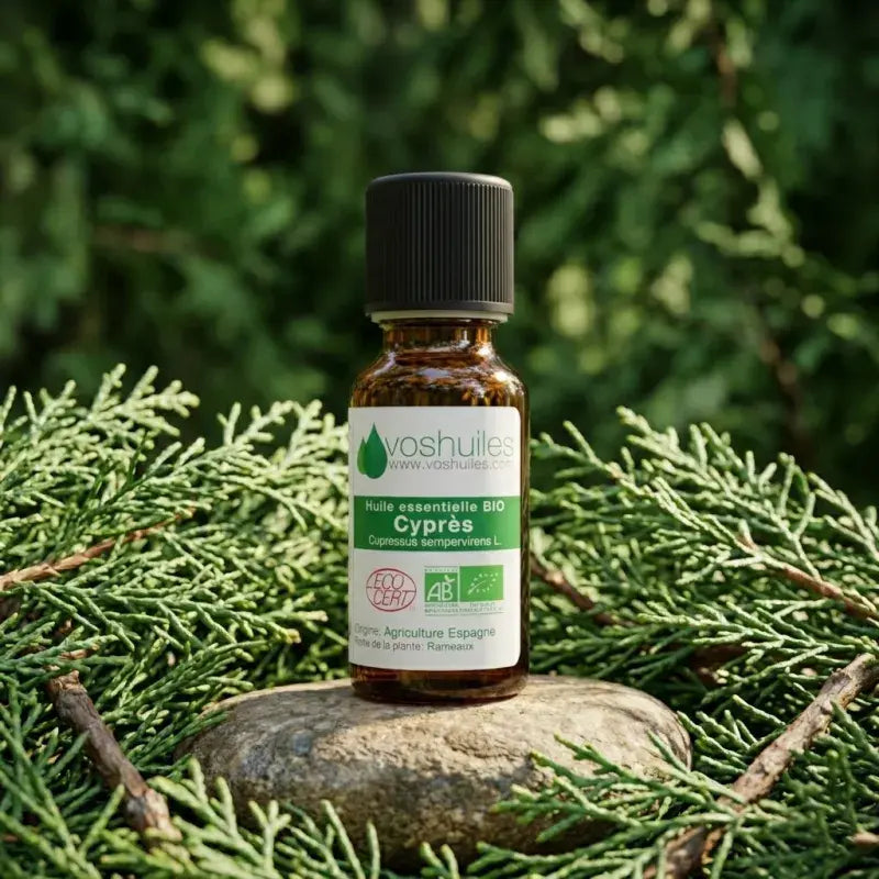 Certified organic Cypress EO – Provence & Côte d'Azur. Pure, natural, food-grade & therapy-grade | LaPeNu
