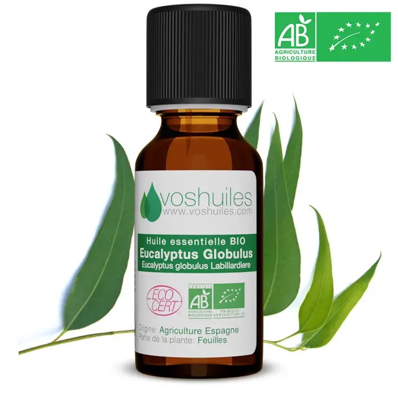 Organic eucalyptus globulus essential oil bottle, cineole-rich, respiratory expectorant, Ecocert & AB certified organic | LaPeNu