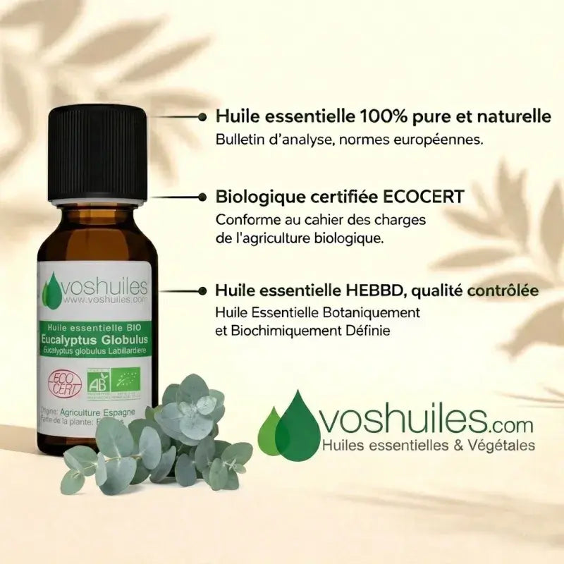 Organic eucalyptus globulus oil, 100% pure natural, ECOCERT and HEBBD chemotyped, respiratory and purifying | LaPeNu