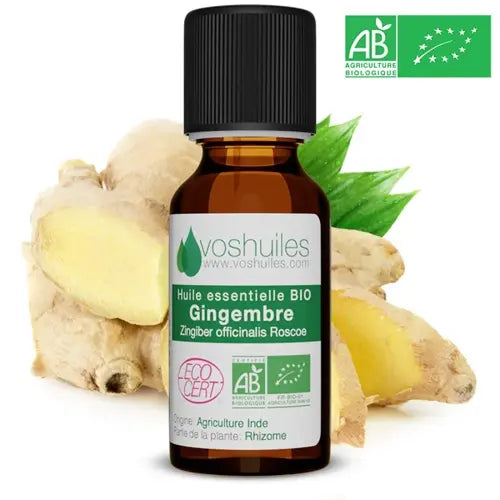 Organic Essential Oil - Ginger