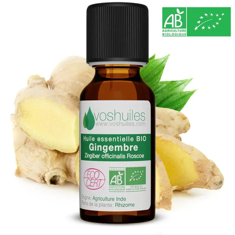 Organic Ginger Essential Oil Zingiber officinale – ECOCERT certified, Chemotyped, 100% pure, therapy-grade | LaPeNu