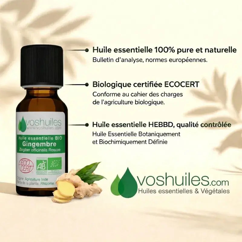 Organic Ginger Essential Oil – 100% pure, ECOCERT certified, chemotyped, quality-controlled | LaPeNu