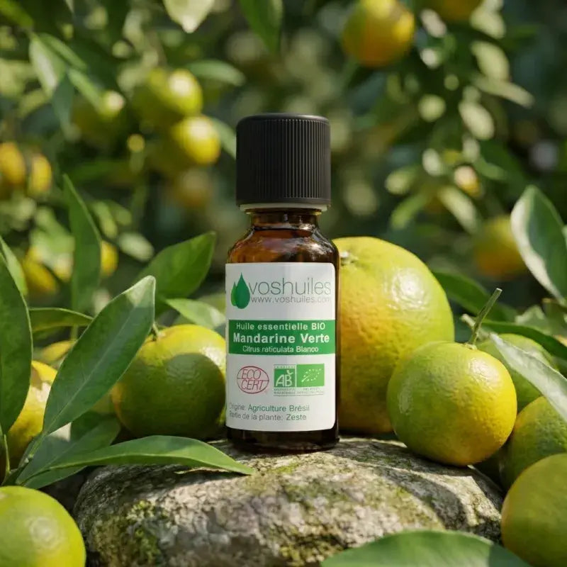 Green Mandarin essential oil bottle among unripe organic citrus fruit – pure, natural, therapy-grade | LaPeNu