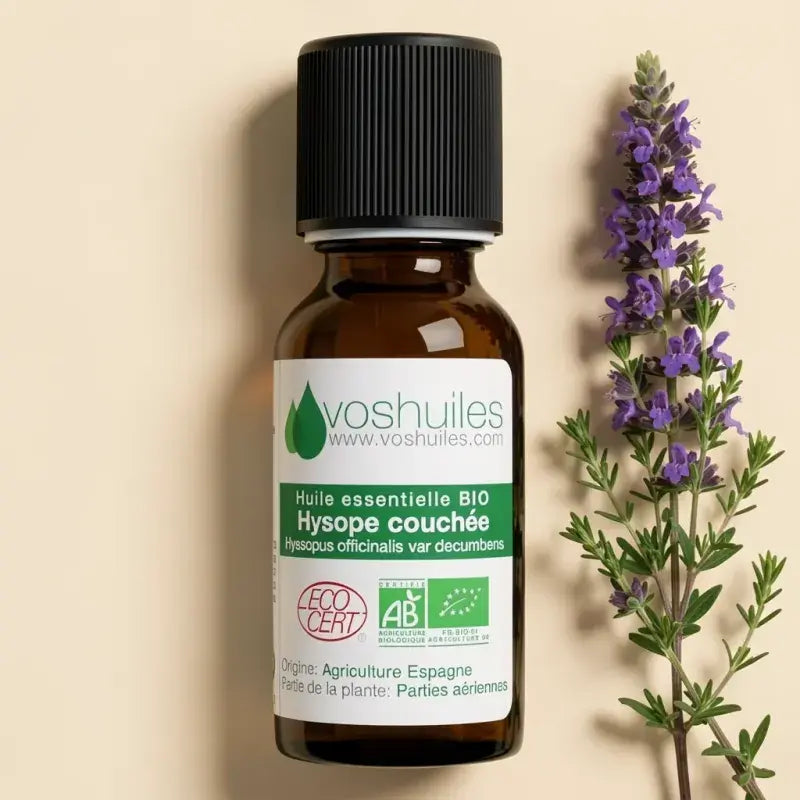 Certified organic hyssop decumbens pure essential oil — Chemotyped, Hyssopus officinalis var. decumbens | LaPeNu