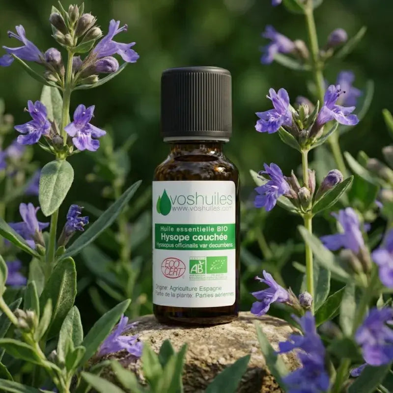 Pure certified organic hyssop decumbens essential oil — chemotyped, therapy-grade, food-grade | LaPeNu