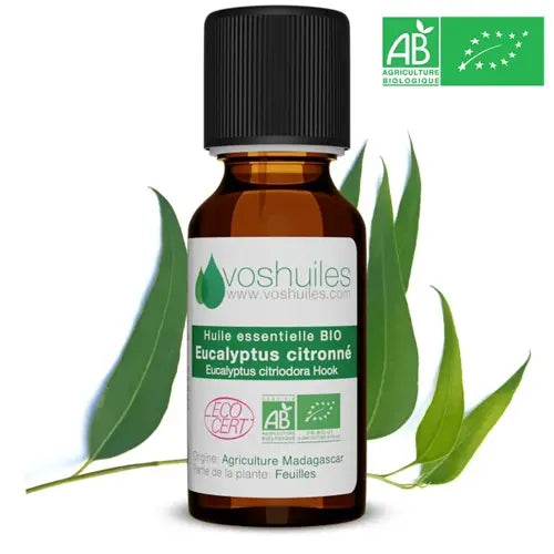Organic Essential Oil - Lemon Eucalyptus