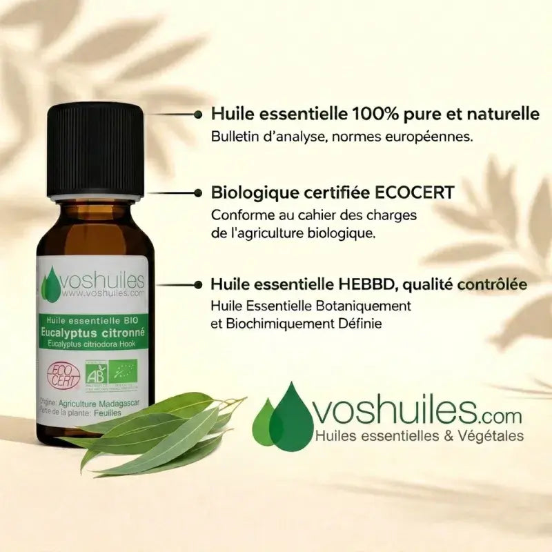 Organic Eucalyptus citriodora Oil – 100% Pure, Ecocert certified organic, Chemotyped, Food-Grade | LaPeNu