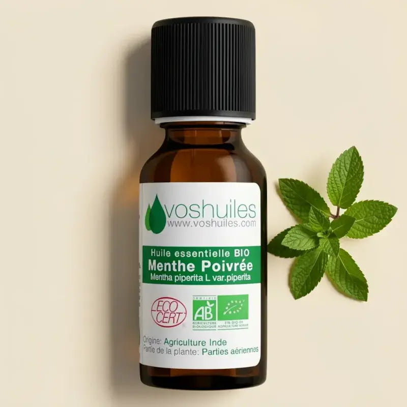 Organic peppermint essential oil Mentha x piperita – purifying, antibacterial, cooling. 100% pure, chemotyped, ECOCERT certified | LaPeNu