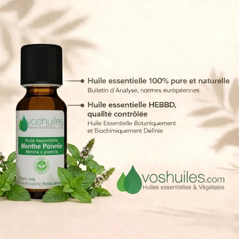 Organic peppermint essential oil – insect repellent, antiseptic, refreshing. Blends with eucalyptus, rosemary, tea tree, lemon | LaPeNu