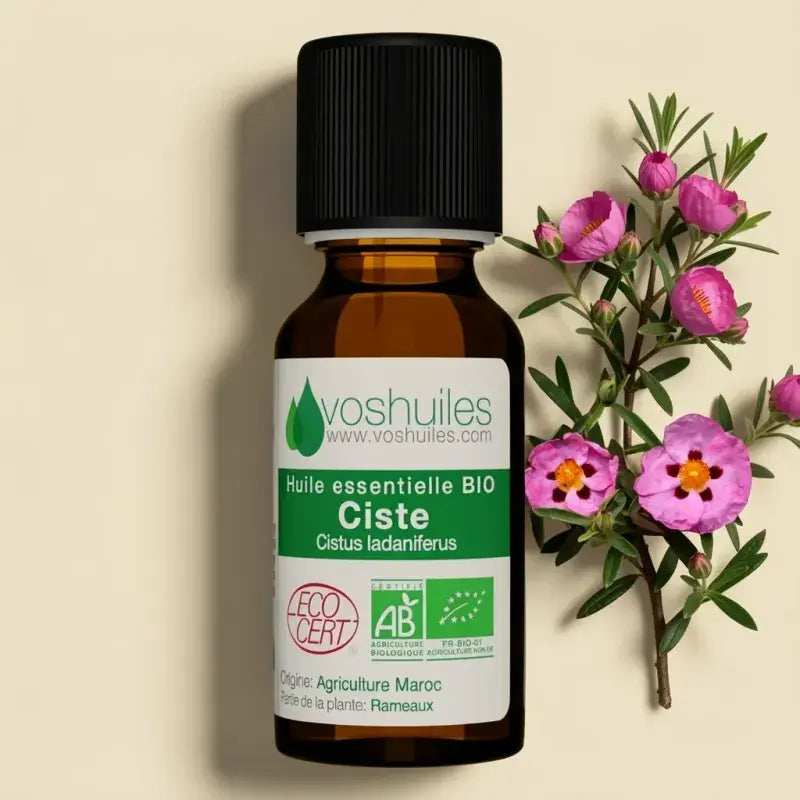 Organic Rock Rose Essential Oil – Skin-Firming & Regenerating | LaPeNu