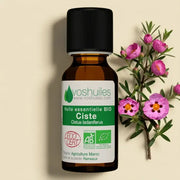 Organic Rock Rose Essential Oil – Skin-Firming & Regenerating | LaPeNu