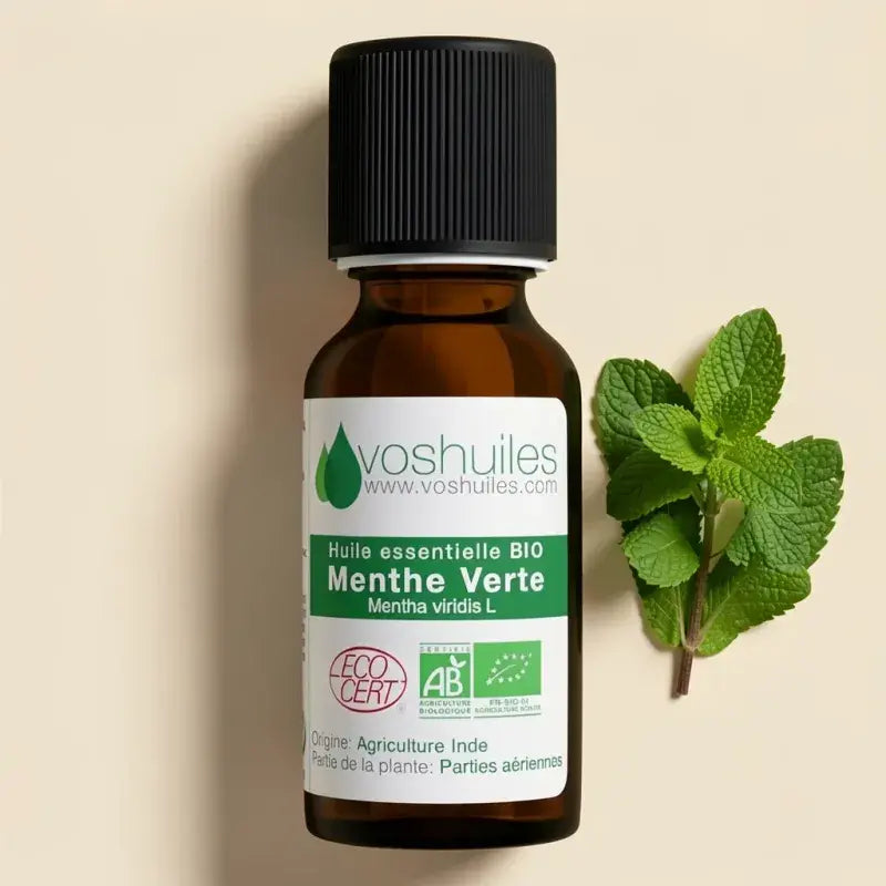Organic spearmint essential oil – digestive, antispasmodic & refreshing. 100% pure, ECOCERT certified. Therapy & food grade | LaPeNu