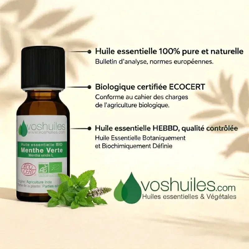100% pure organic spearmint essential oil – Certified, HEBBD/HECT labeled. Antibacterial, analgesic & refreshing. Therapy & food grade | LaPeNu