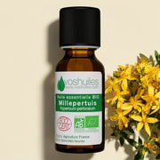 Organic St. John's Wort Essential Oil – ECOCERT certified, anti-inflammatory, skin-soothing | LaPeNu