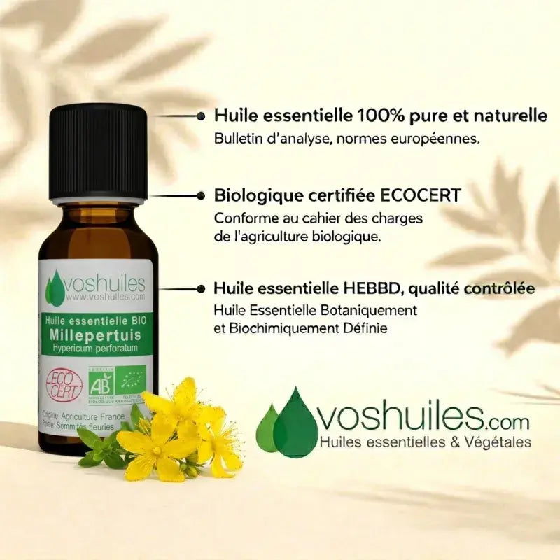 100% pure organic St. John's Wort EO – ECOCERT certified, HEBBD/HECT labeled, therapy-grade, EU standards | LaPeNu