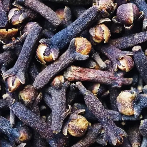 Organic Essential Oil - Clove Bud