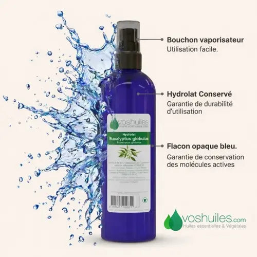 Organic Hydrolat - Eucalyptus Globulus