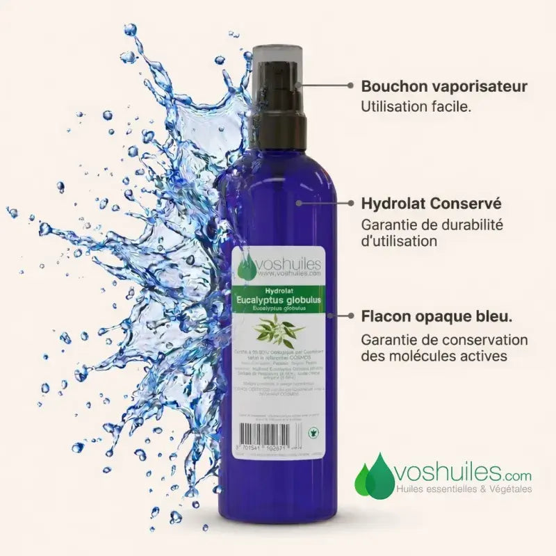 Eucalyptus Globulus hydrosol – spray bottle, preserved active molecules, opaque blue, organic | LaPeNu