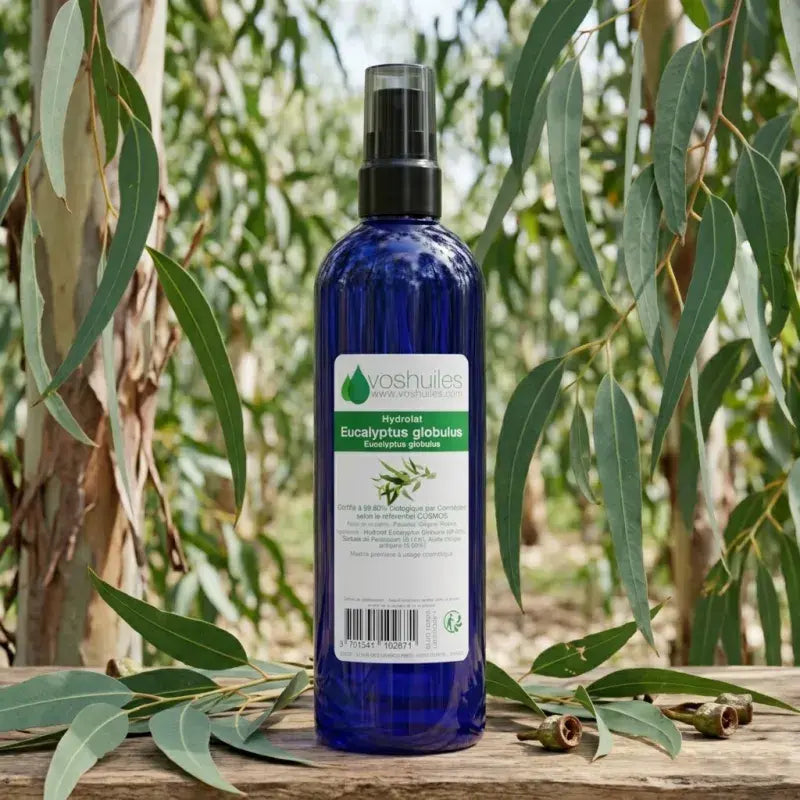Eucalyptus Globulus hydrosol – organic, decongestant, antiseptic, scalp & skin toner, made in France | LaPeNu