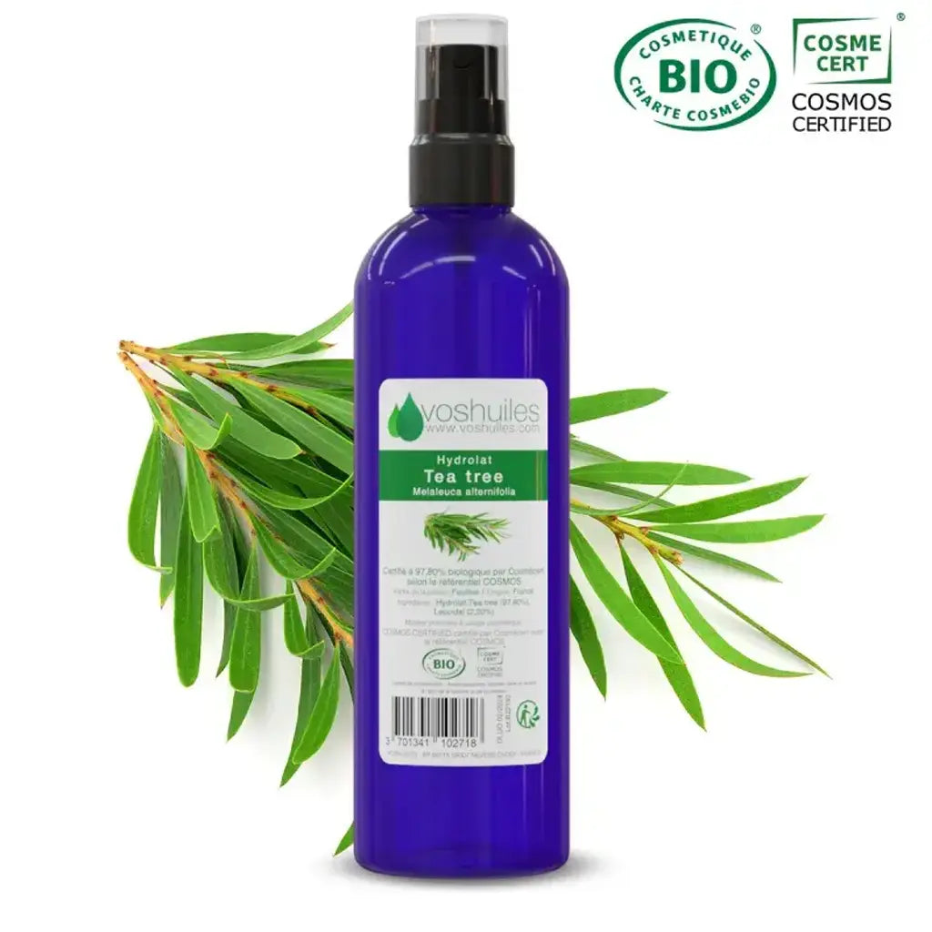 Organic tea tree hydrosol – Cosmos certified, antibacterial, antifungal, made in France | LaPeNu