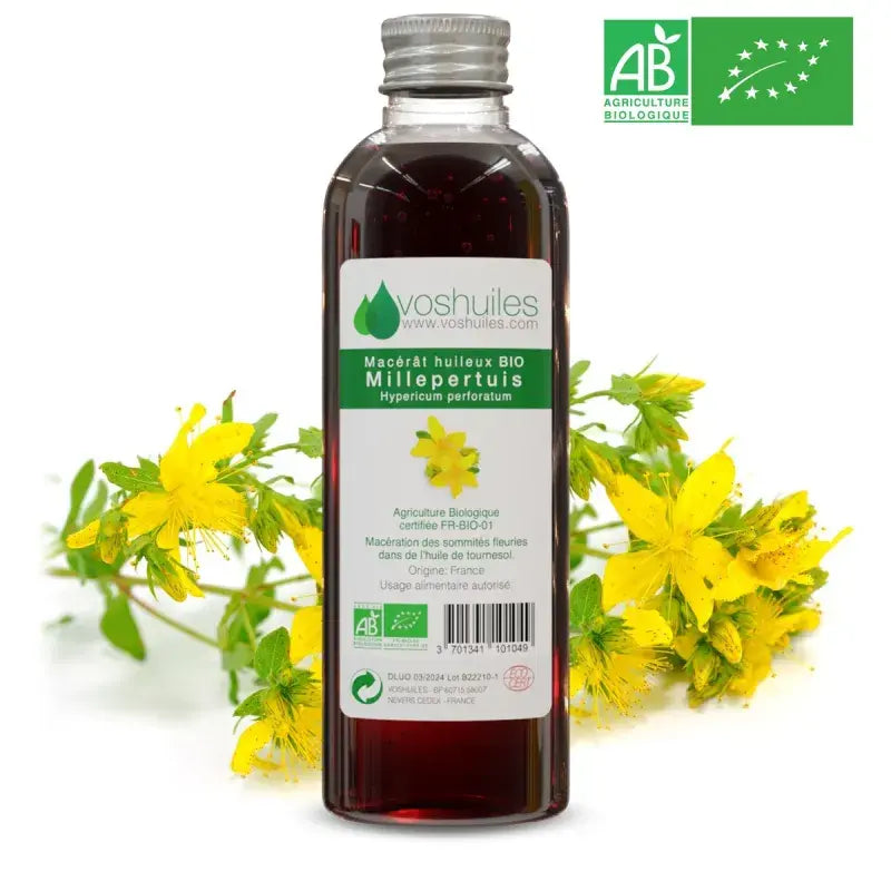 Organic St. John's Wort oil macerate Hypericum perforatum – soothing anti-inflammatory – made in France | LaPeNu