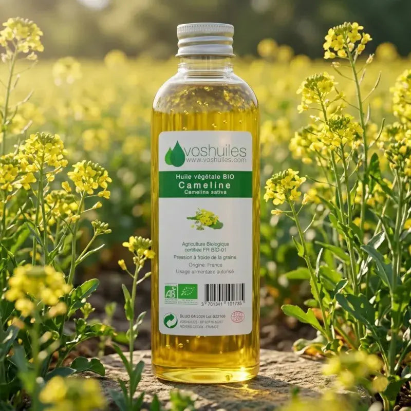 Organic camelina oil in bloom field, cold-pressed, omega-3 & vitamin E, made in France | LaPeNu