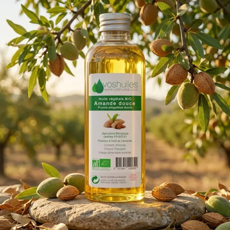 Organic sweet almond oil Prunus amygdalus dulcis in almond orchard, cold-pressed, pure carrier oil | LaPeNu
